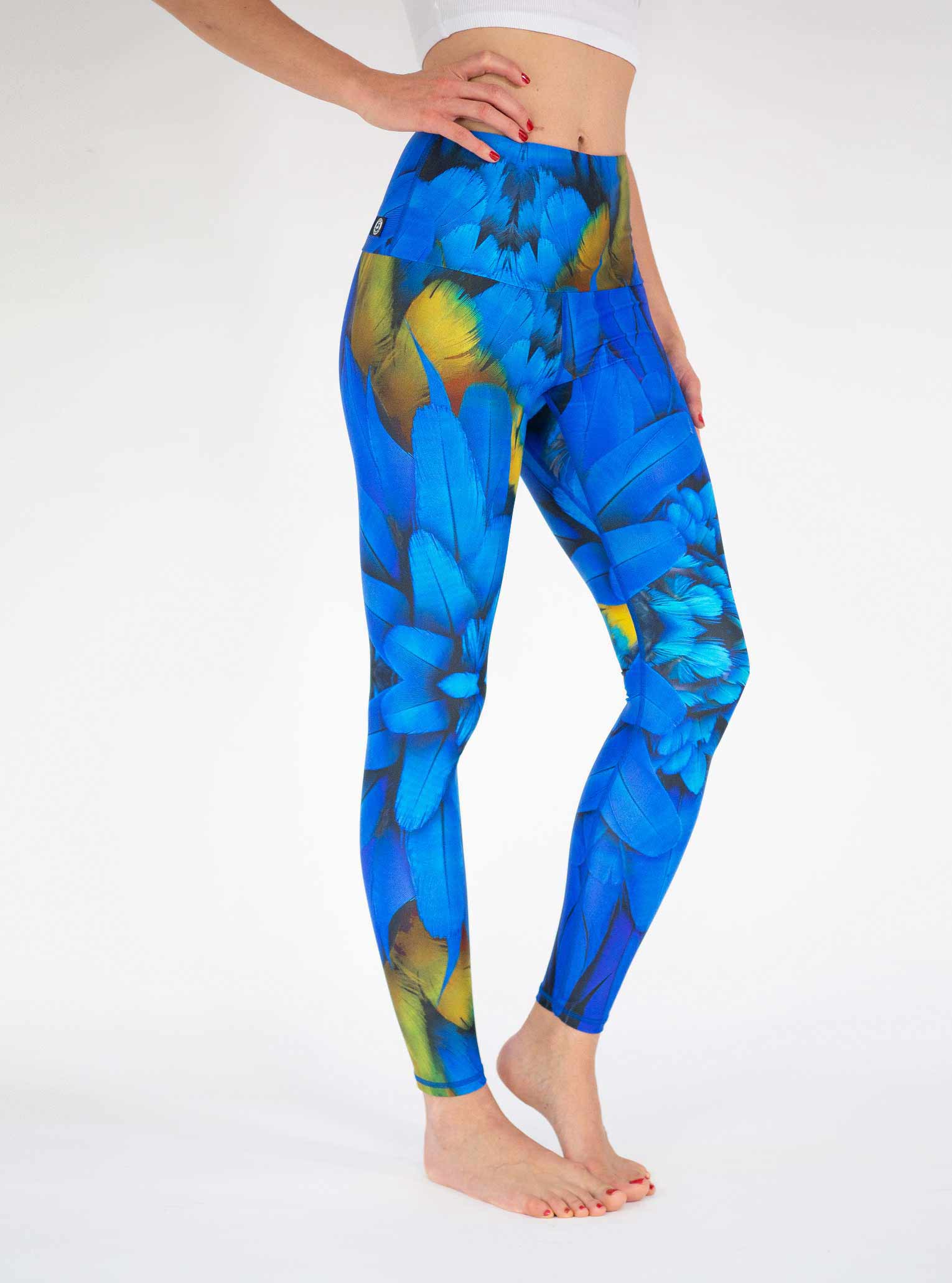 yoga leggings blue bird
